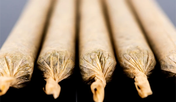 subscribe and save. image of rolled joints